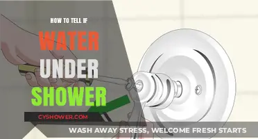Detecting Hidden Water Leaks: Signs of Water Under Your Shower