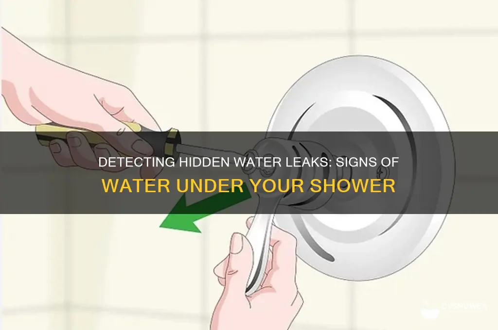 how to tell if water under shower