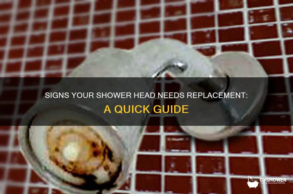 how to tell if your shower head is bad