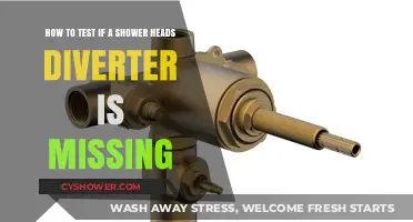 How to Test for a Missing Shower Head Diverter Valve