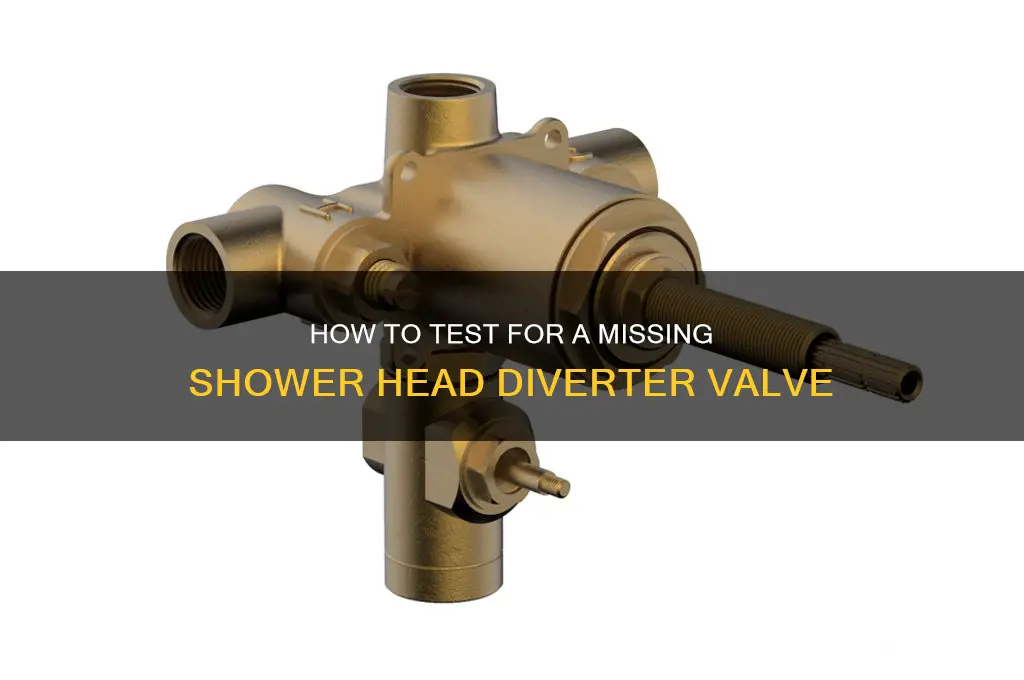 how to test if a shower heads diverter is missing