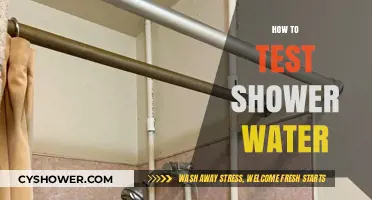 Easy Steps to Test Your Shower Water Quality at Home