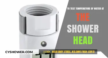 Accurately Measuring Shower Water Temperature: A Simple Step-by-Step Guide