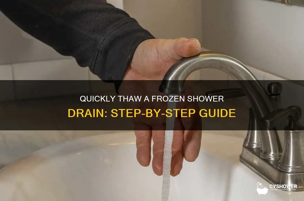 how to thaw a frozen shower drain