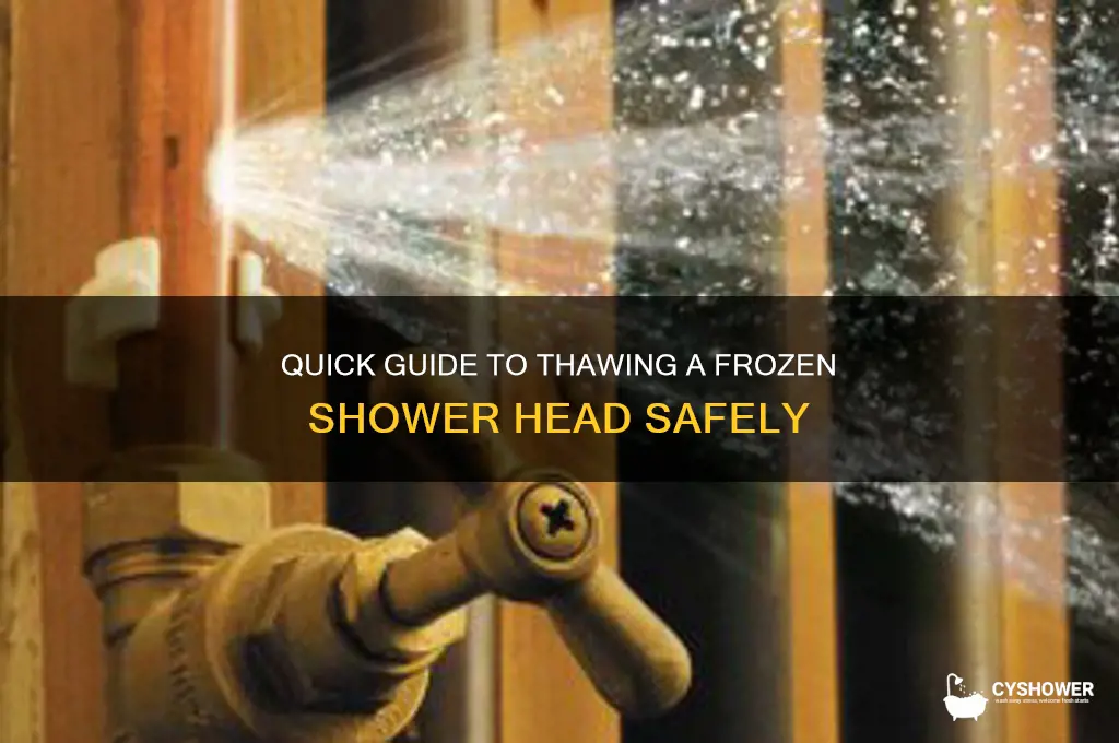how to thaw a shower head