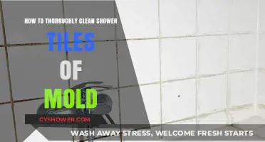 Effective Mold Removal: A Step-by-Step Guide to Cleaning Shower Tiles