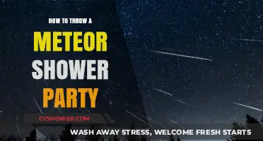 Stargazing Soiree: Tips for Hosting a Meteor Shower Party