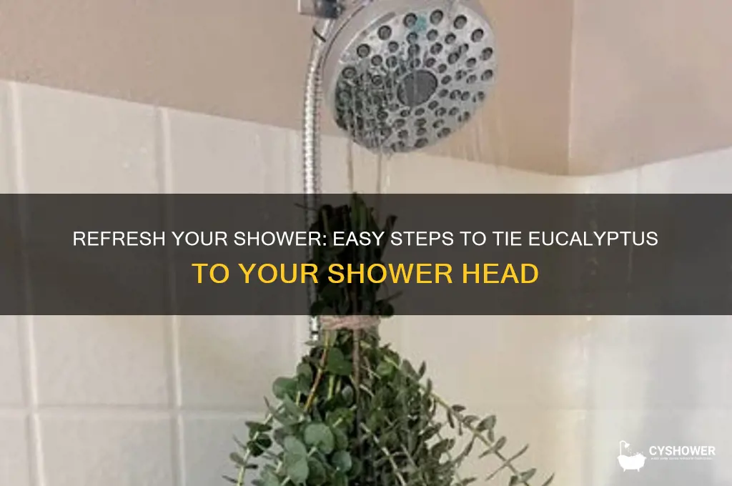 how to tie eucalyptus to shower head