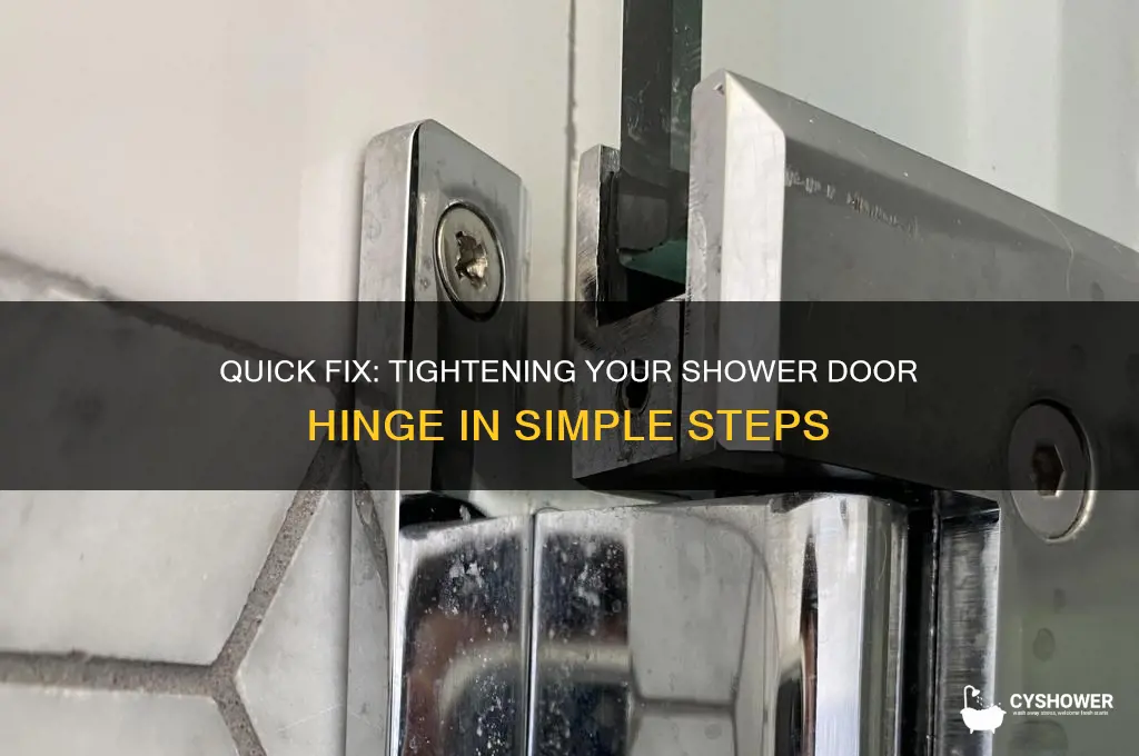 how to tighten a shower door hinge