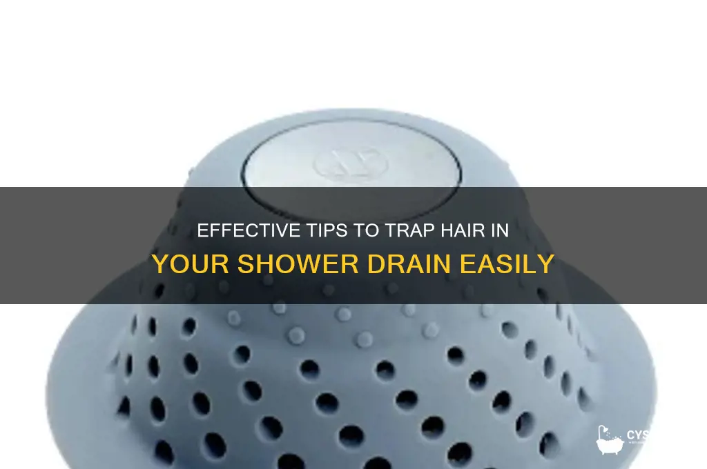 how to trap hair in shower drain