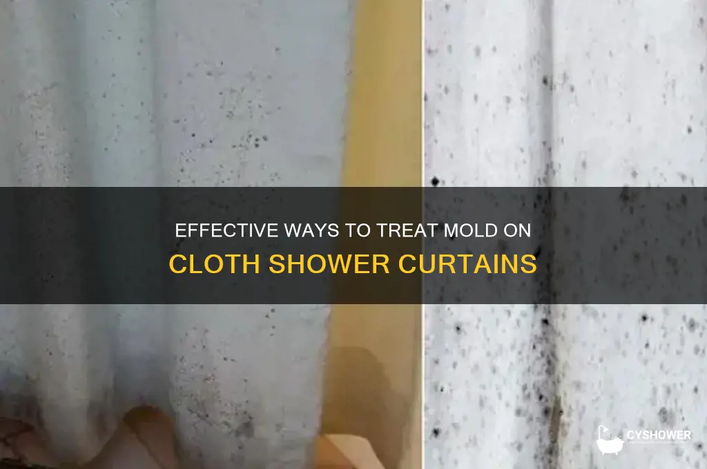how to treat your cloth shower curtain with mold