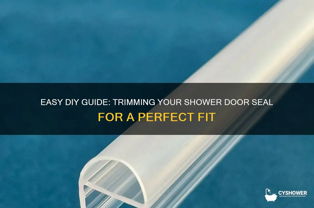 how to trim shower door seal