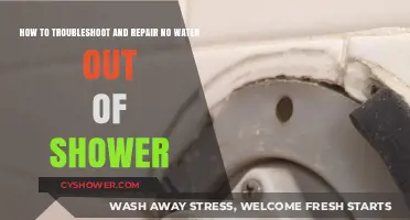 Fixing Shower Water Flow: Troubleshooting and Repair Guide for No Water