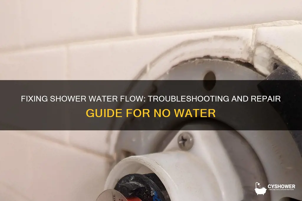 how to troubleshoot and repair no water out of shower