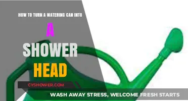 DIY Shower Hack: Transform Your Watering Can into a Shower Head