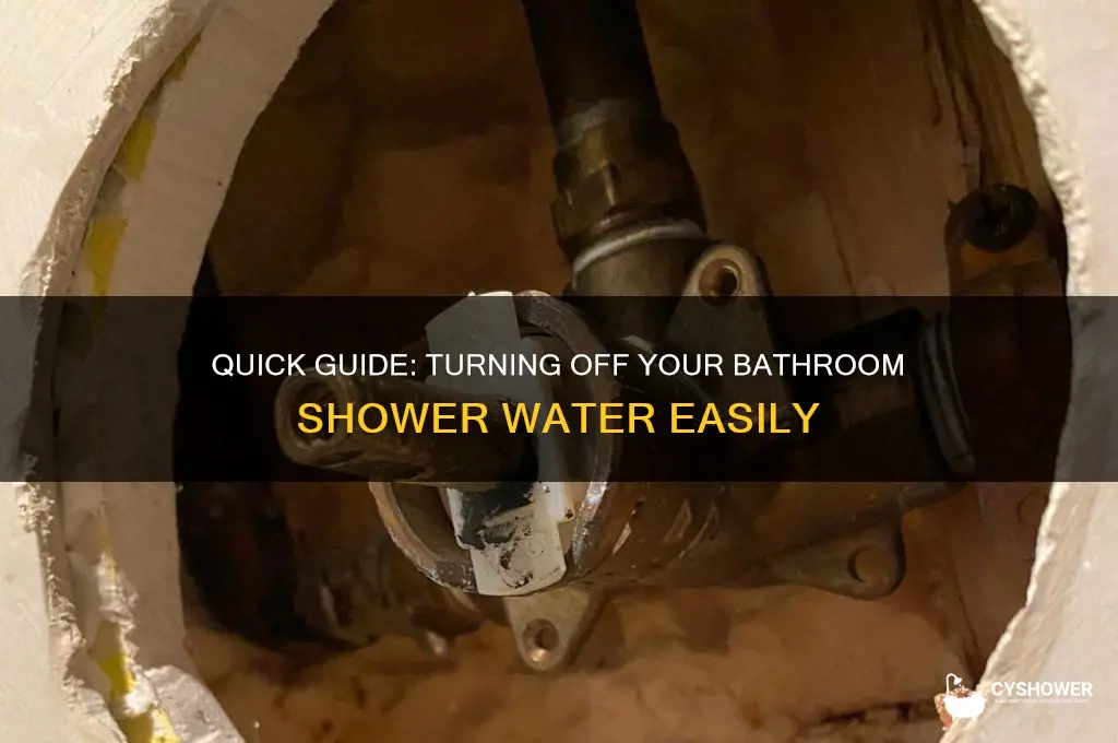 how to turn off bathroom shower water