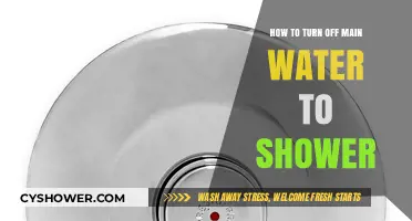Quick Guide: Shutting Off Main Water Supply to Your Shower