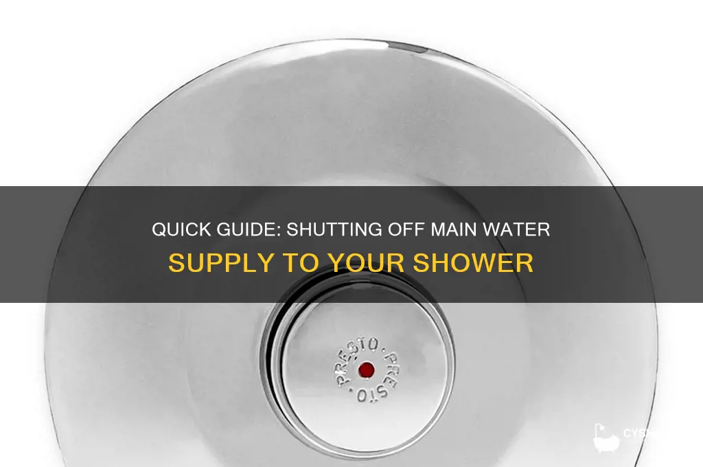 how to turn off main water to shower