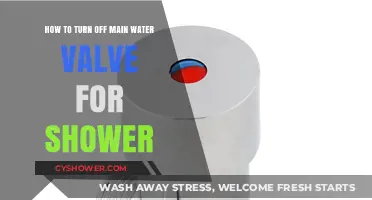 Quick Guide: Turning Off Your Shower’s Main Water Valve Safely