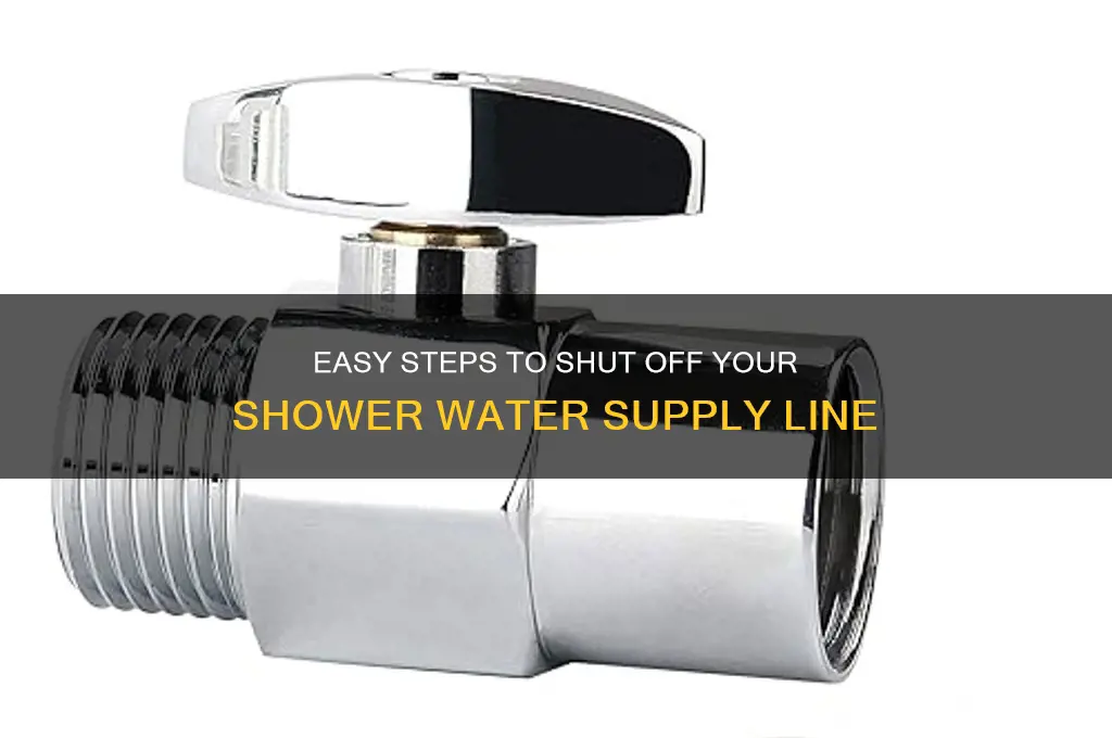 how to turn off shower water line