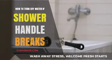 Emergency Fix: How to Shut Off Water When Shower Handle Breaks