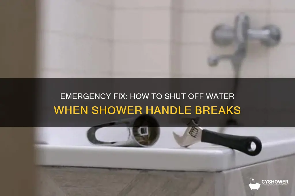 how to turn off water if shower handle breaks