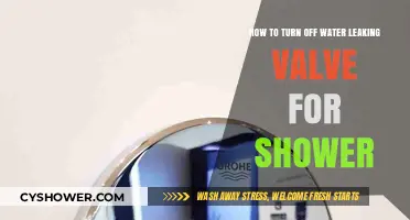 Quick Fix: Stopping a Leaky Shower Valve in Easy Steps