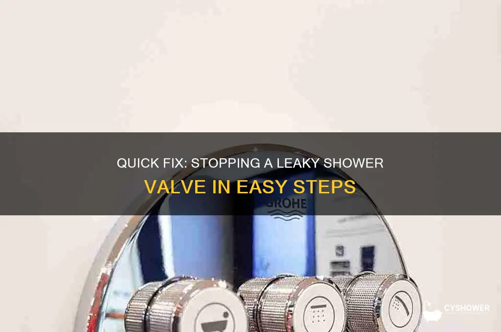how to turn off water leaking valve for shower