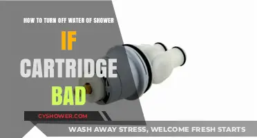 Fixing a Bad Shower Cartridge: How to Turn Off Water