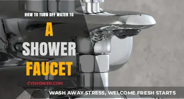 Quick Guide: Shutting Off Water to Your Shower Faucet