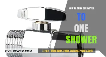 Quick Guide: Turning Off Water Supply to a Single Shower