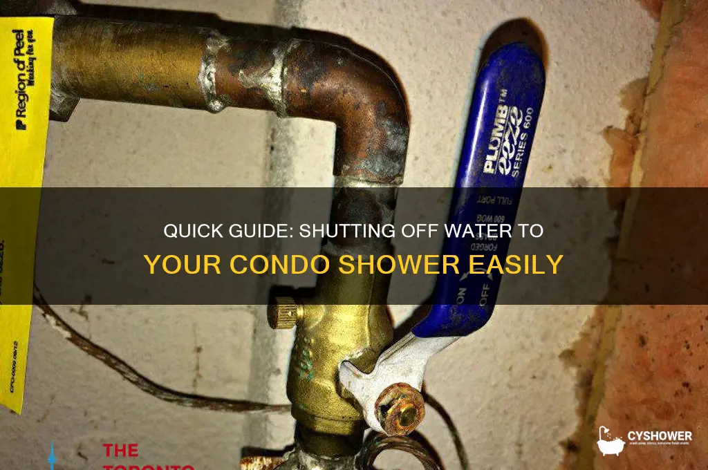 how to turn off water to shower in condo