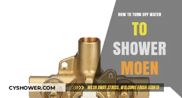 Quick Guide: Turning Off Water to Your Moen Shower Valve