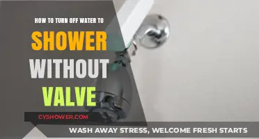 Quick Fix: Shutting Off Shower Water Without a Valve
