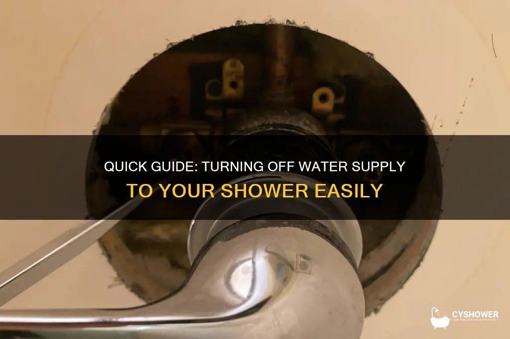 how to turn off water to shower
