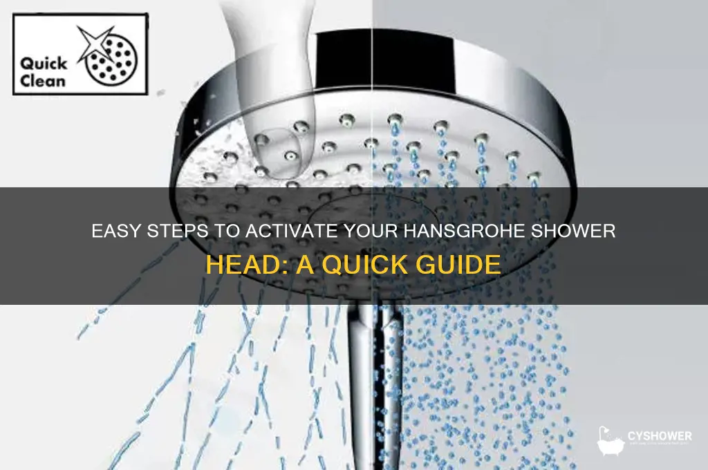 how to turn on hansgrohe shower head