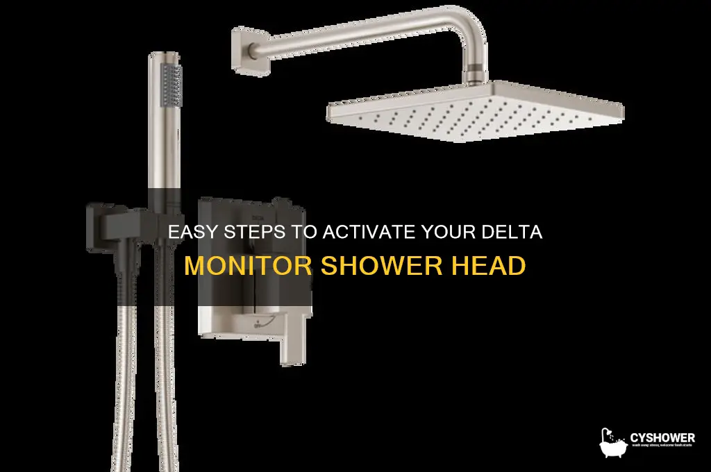 how to turn on shower head delta monitor