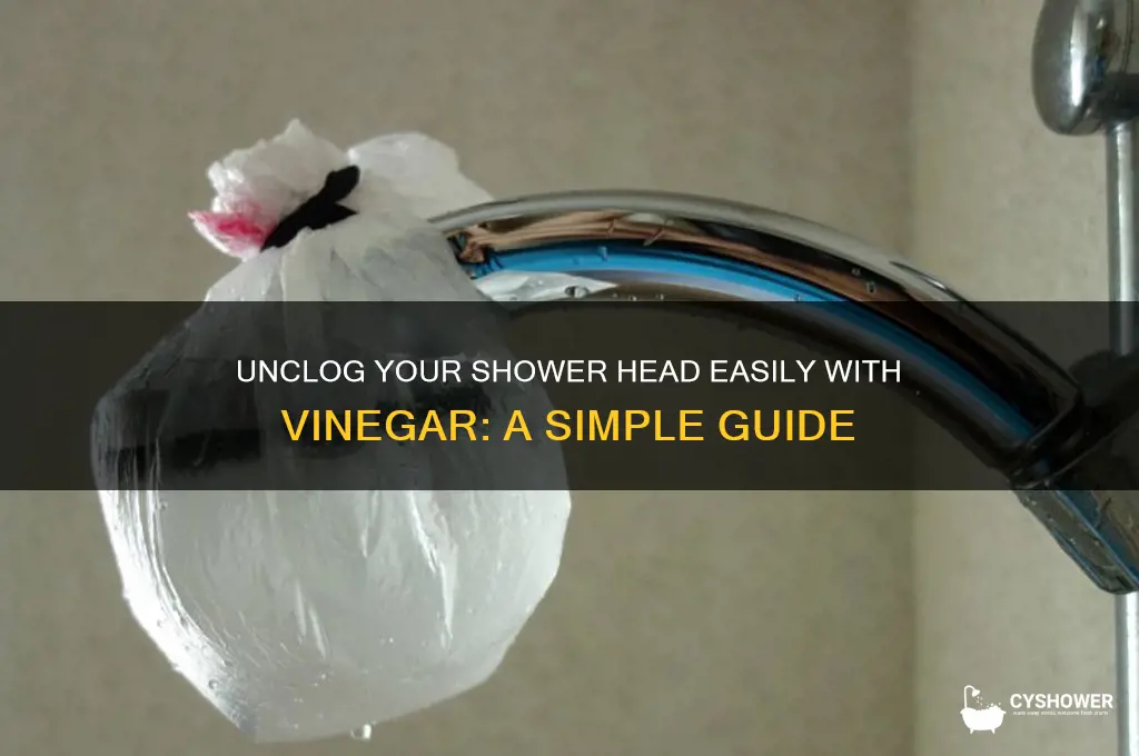 how to un clog shower head with vingear