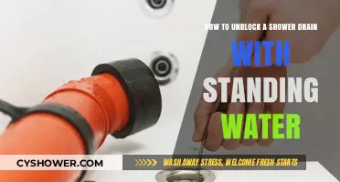 Quick Fixes: Unclogging Your Shower Drain with Standing Water