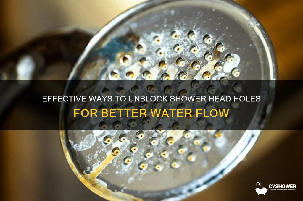 how to unblock holes in shower head