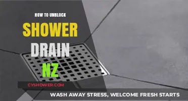 Effective DIY Methods to Unblock Your Shower Drain in NZ