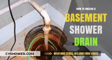 Quick Fixes: Unclogging Your Basement Shower Drain Like a Pro