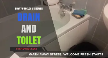 Quick Fixes: Unclogging Shower Drains and Toilets Like a Pro