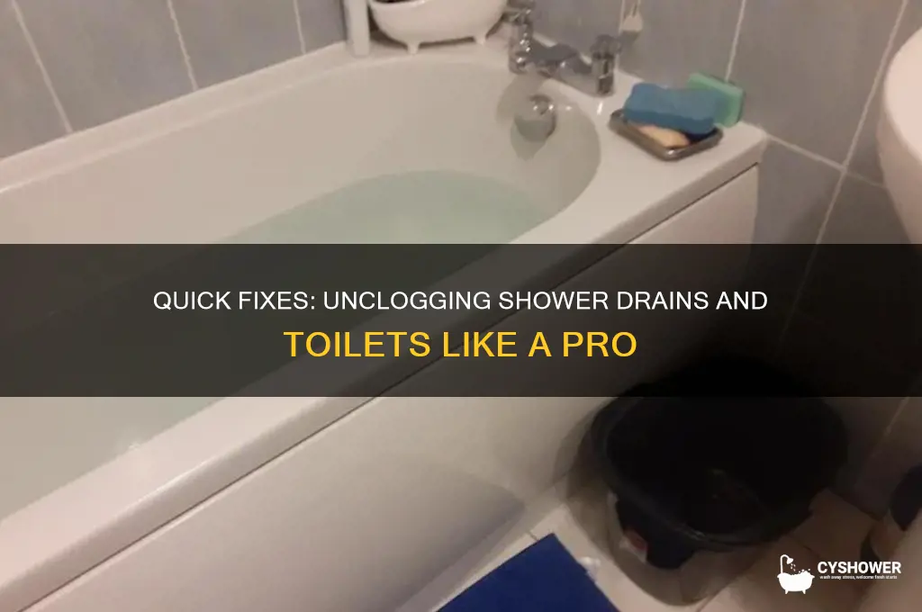 how to unclog a shower drain and toilet