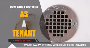 Tenant's Guide: Quick and Easy Shower Drain Unclogging Tips