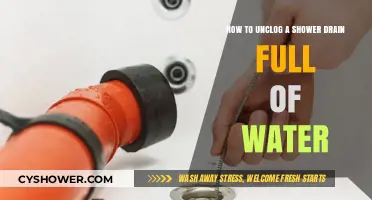 Quick Fixes to Unclog Your Shower Drain and Restore Flow