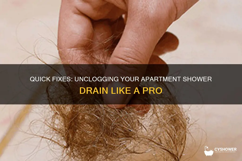how to unclog a shower drain in an apartment