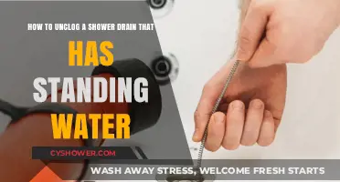 Quick Fixes: Unclog Your Shower Drain and Eliminate Standing Water