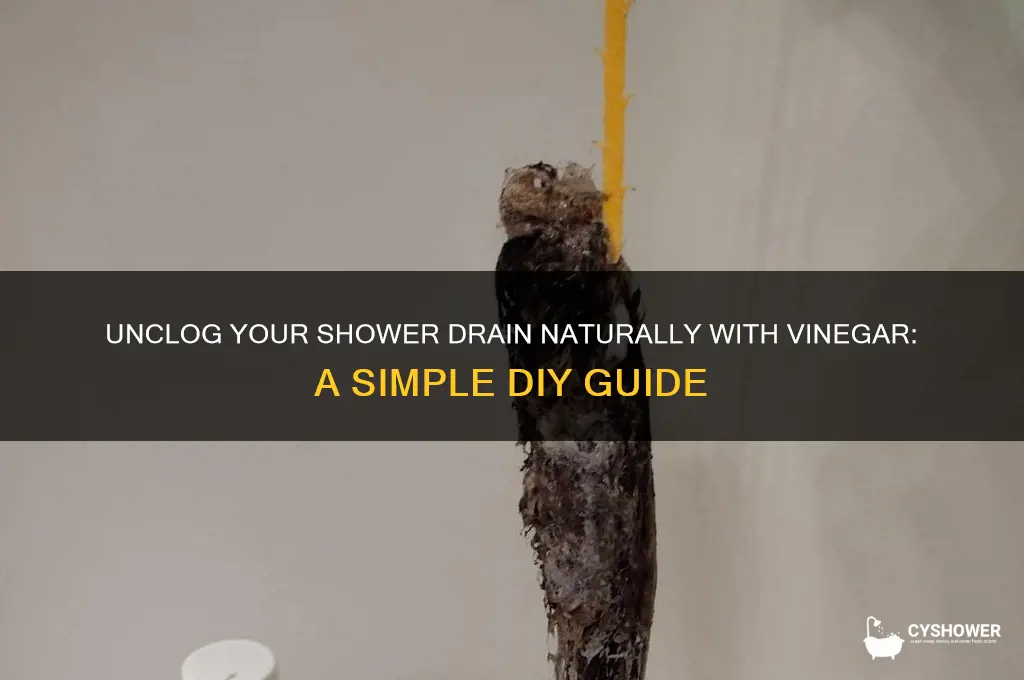 how to unclog a shower drain vinegar