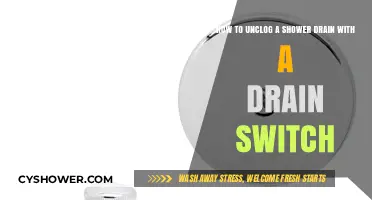 Quick Fix: Unclog Your Shower Drain Using a Drain Switch